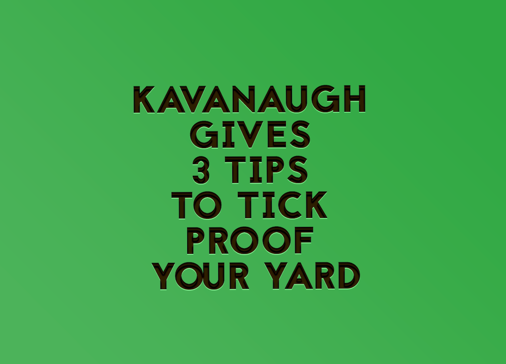 Kavanaugh Gives 3 Tips To Tick Proof Your Yard